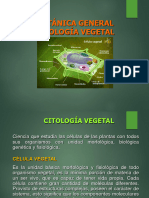 Citologia_vegetal