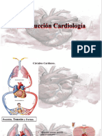 Introducción Cardiología