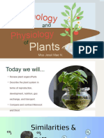 L1 Morphology and Physiology of Plants