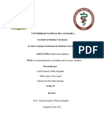 TRABAJO FINAL SOBRE EL ENSAYO ARGUMENTATIVO