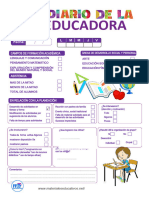 Diario de La Educadora en Word