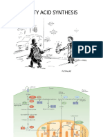 Biochemistry 2015 Fatty Acid Synthesis Lecture Notes