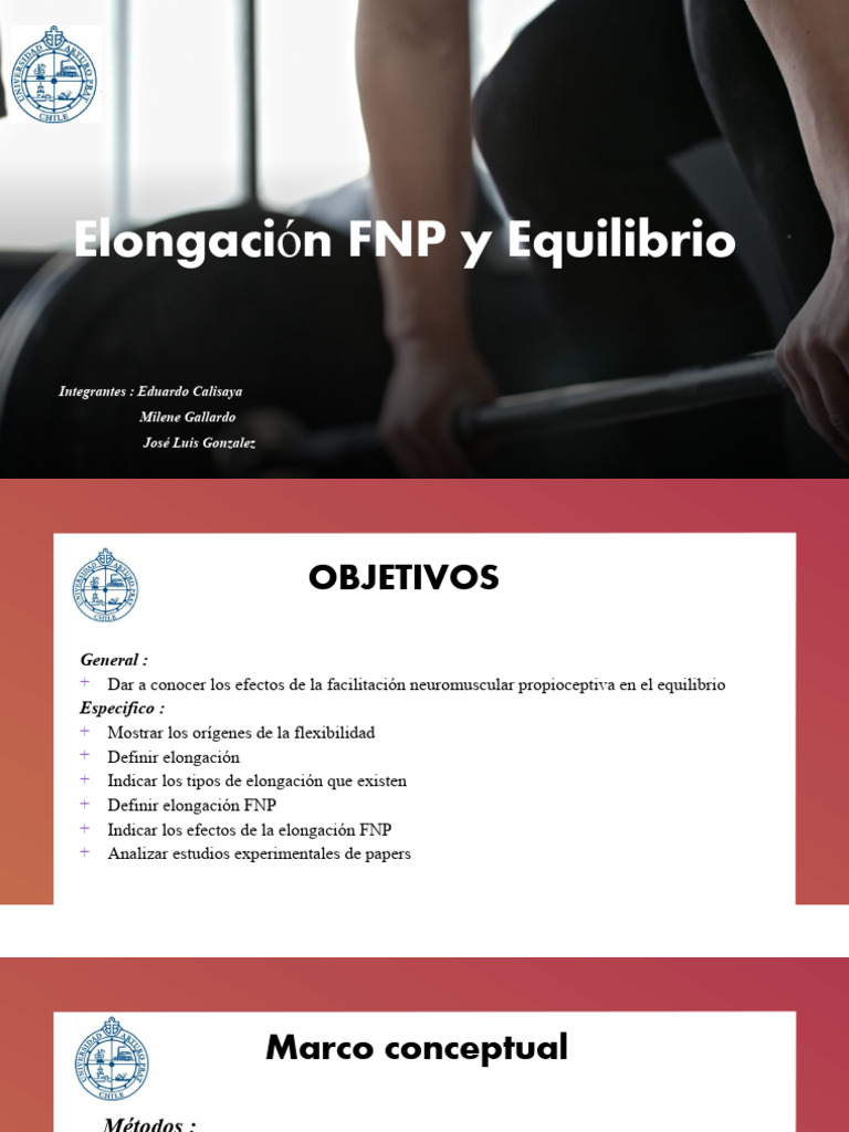 Fnp y Equilibrio (1) PDF Flexibilidad (anatomía) Sentidos