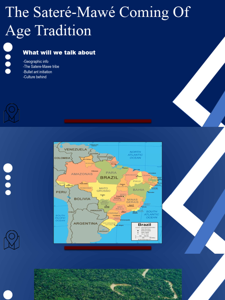 bullet-ant-initiation-pdf