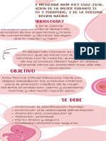 Infografía Salud Mental Orgánico Creativo Rosado y Blanco - 20240320 - 083048 - 0000