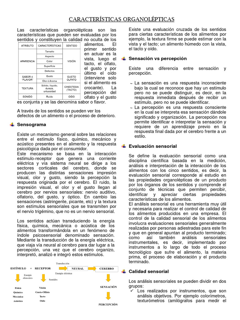 Características Organolépticas de Alimentos | PDF | Color | Sentidos