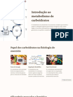 Introdução Ao Metabolismo de Carboidratos