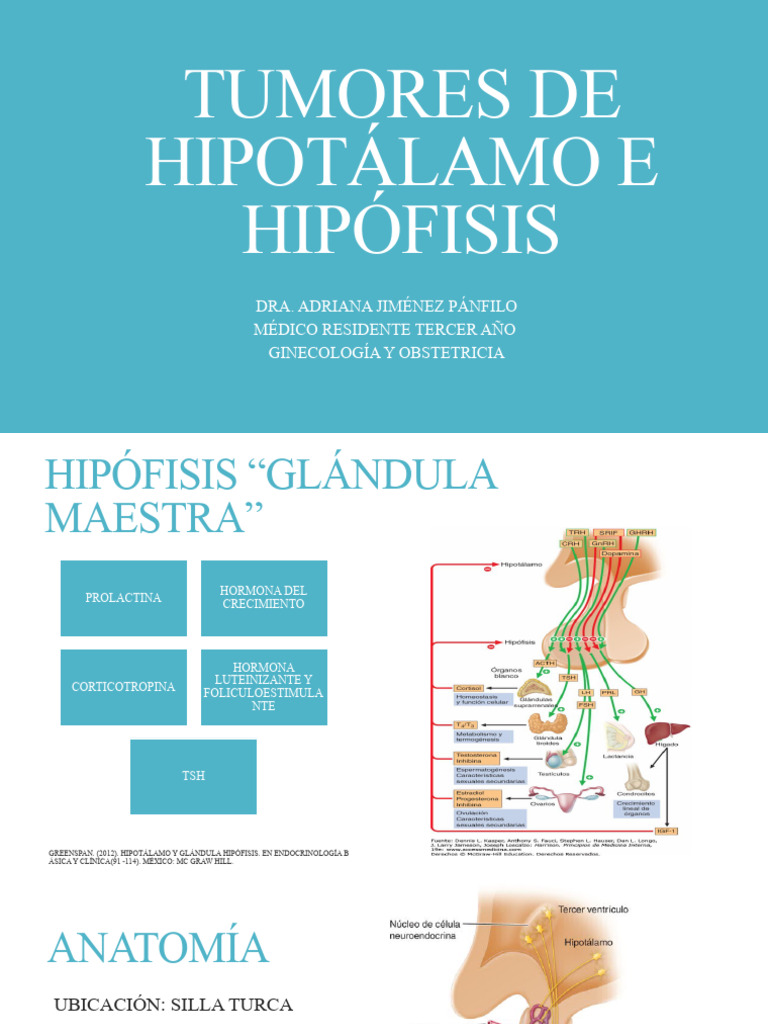 02-Tumores de Hipotalamo e Hipofisis | PDF | Glándula pituitaria ...