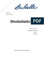Etnobotanica