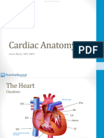 1 - Cardiac Anatomy