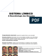 16 Sistema Limbico