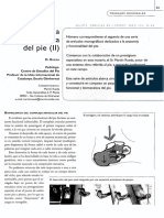 Del Pie (II) : Introducción A La Biomecánica