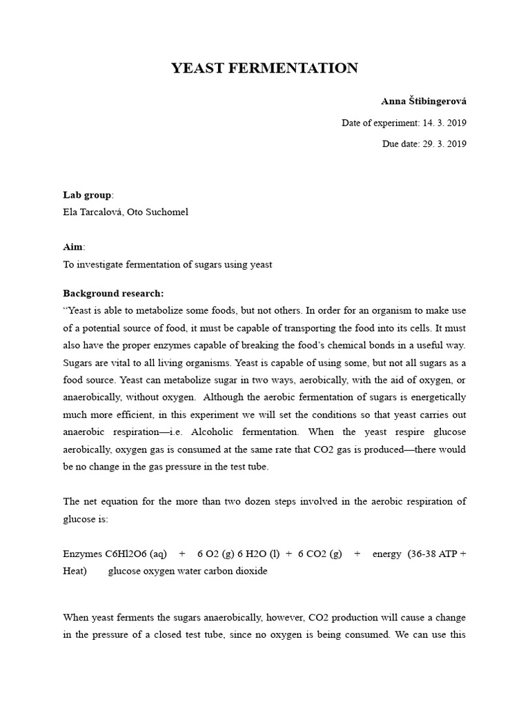 Lab Report Yeast Fermentation PDF Cellular Respiration Fermentation