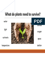 What Do Plants Need