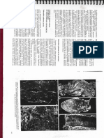 21. INFLAMACIÓN III,  IC 9.