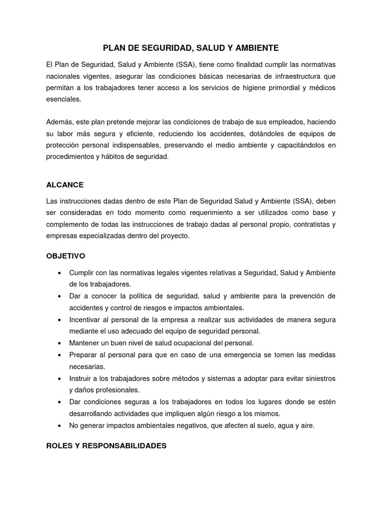 Plan de Seguridad Salud y Ambiente | PDF | La seguridad informática ...
