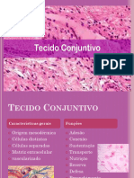 Tecido Conjuntivo