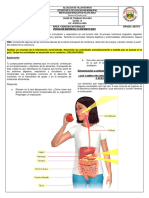 Guia 3 Ciencias Naturales Sexto P1