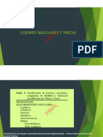 Lesiones Vasculares y Viricas PDF