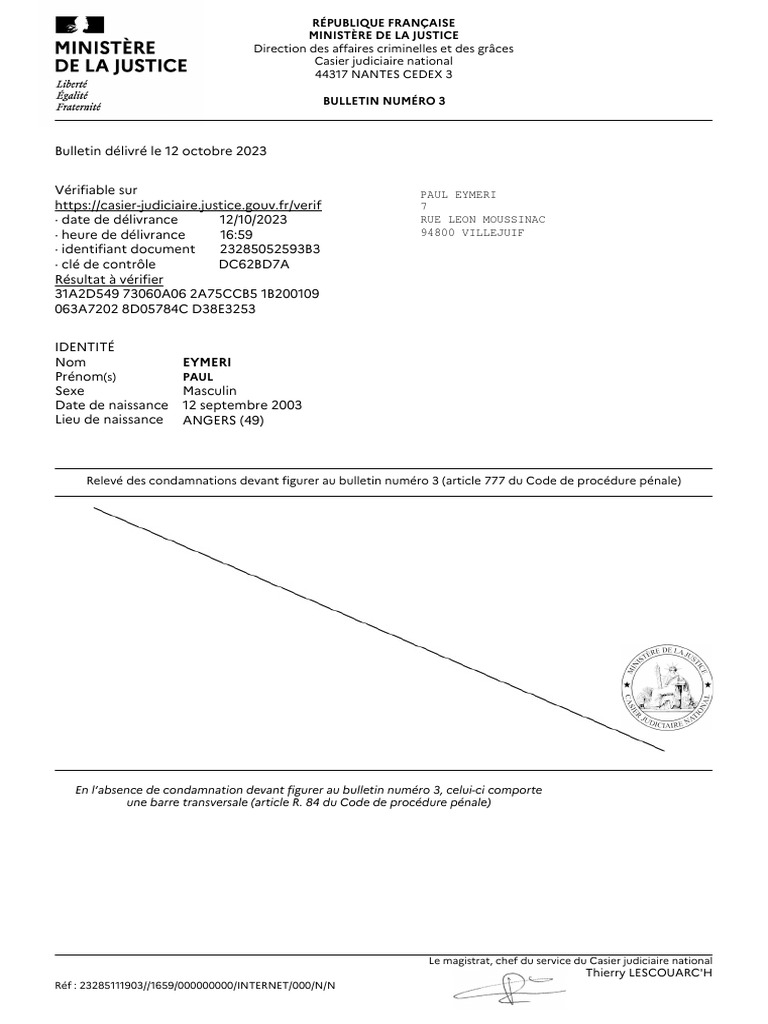 Bulletin numéro 3 de casier judiciaire | PDF