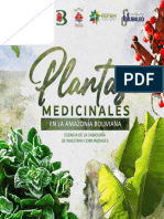 Plantas Medicinales Bolivia