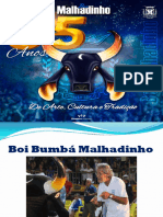 Boi Bumbá Malhadinho - História