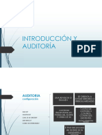 Introduccion y Auditoria General