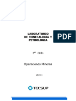 Guía de Laboratorio Mineralogia y Petrologia - LAB-S03-2024-1
