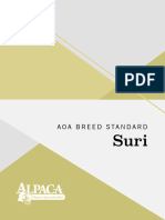 Aoa Suri Breed Standard