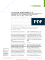 Hiperplasia Benigna de Prostata (2).en.es