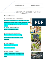 SEMANA 9 INFOGRAFIA