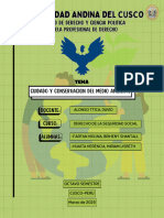 Infografia de Cuidado y Conservacion Del Medio Ambiente