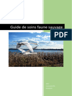 Guide - de - Soins - FS - Ordre Vétérinaire - Finale