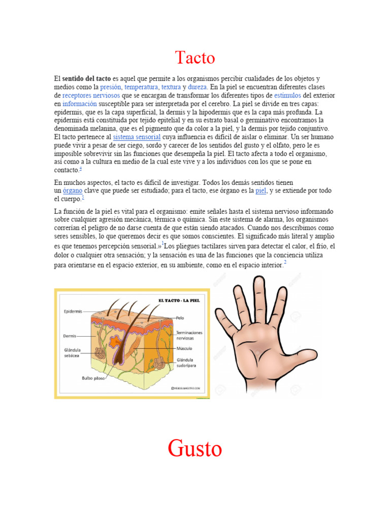 5 Sentidos Pdf Gusto Oído