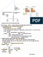 Patogenesis Otitis Media