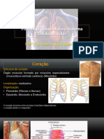 FHG Fisiologia Cardiovascular Anatomia Histologia