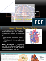 FHG 21 1 Fisiologia Cardiovascular Ciclocard Ecg Hemodinamica