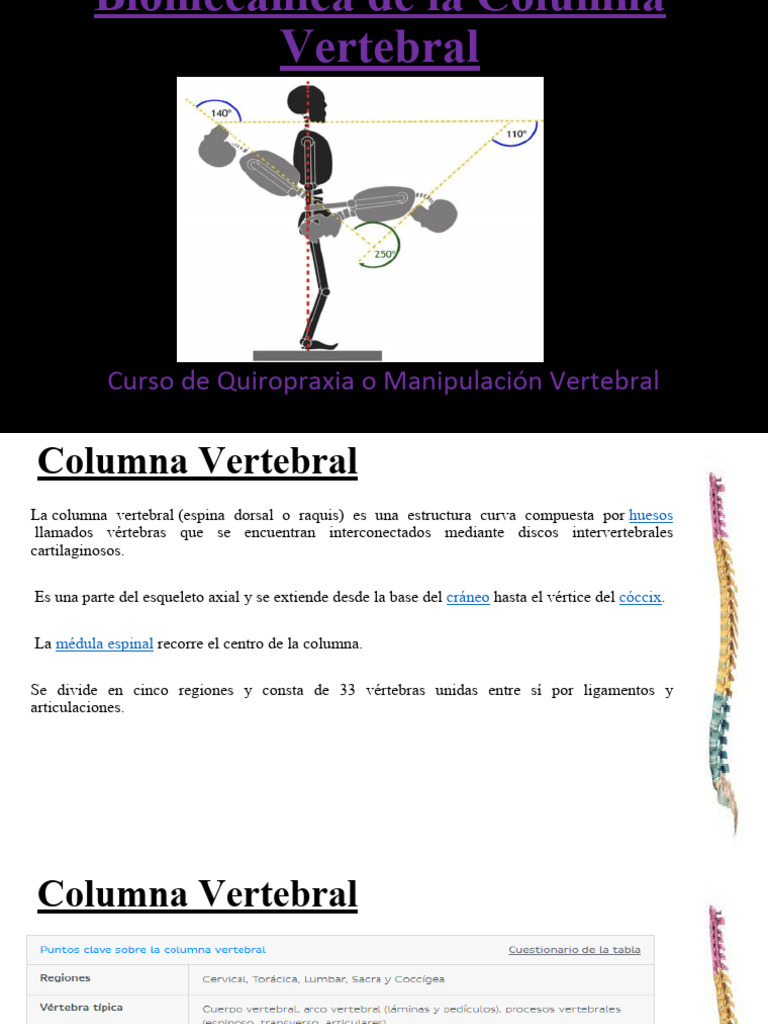 Biomecanica de La Columna Vertebral | PDF | La columna vertebral | Vértebra