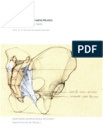 EXPOSICIÓN CAVIDAD PELVICA