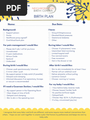 Birth Plan Example