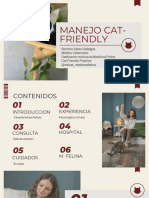 Manejo Cat-Friendly 240130 193303