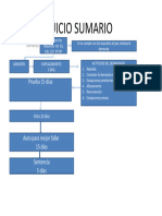 Esquema Juicio Sumario