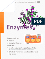 Biology - Enzymes