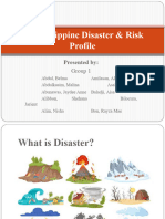 The Philippine Disaster Risk Profile G1
