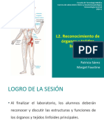 L2 PPT2 Reconocimiento de Tejidos Linfoides 2024