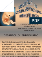 Sistema Nervioso Embrinario