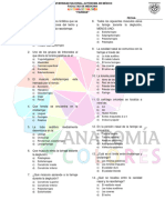 Faringe Examen, ANATOMÍA DE COLORES