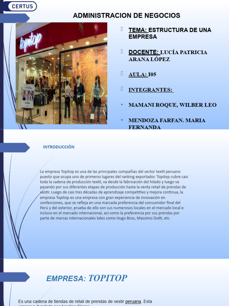 Estructura Organizacional de Topitop | PDF | Business | Calidad (comercial)
