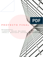 Trabajo Final Cabrera-Praeli