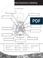 Human Body Systems Labeling Activity Black and White